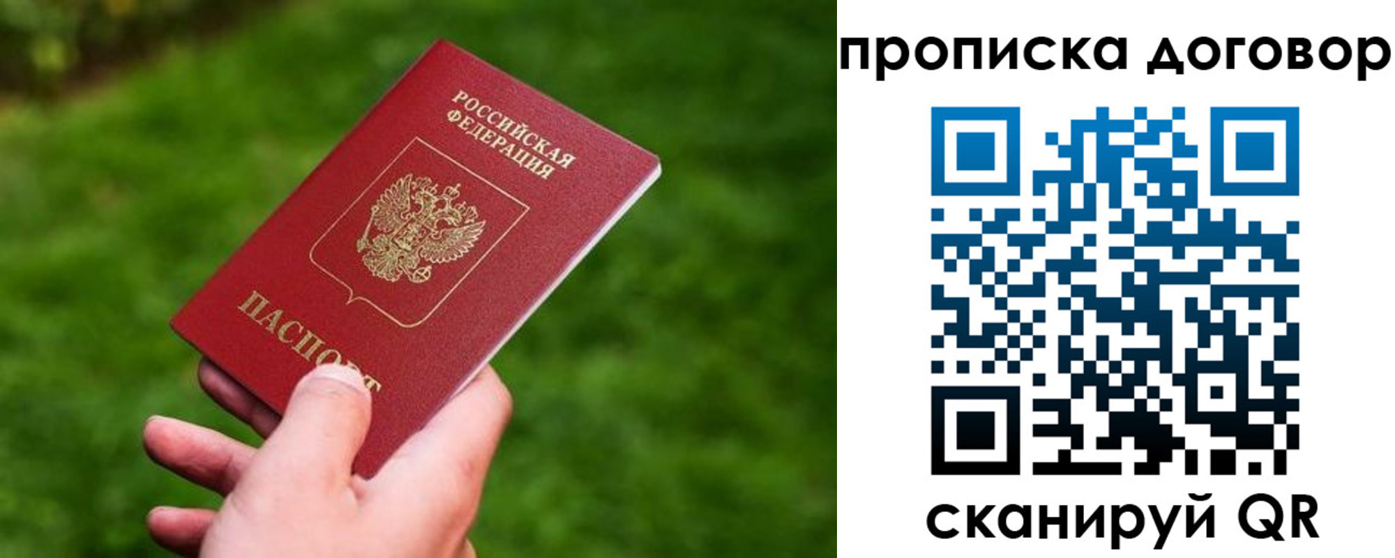 прописка гарантия в Вольске